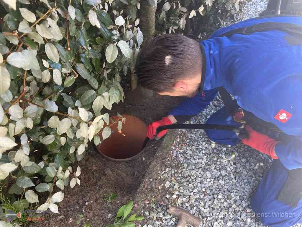 Rioolvliegjes Wijchen Rioolvliegjes Wijchen